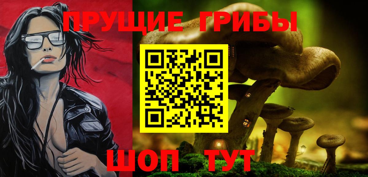 Псилоцибиновые грибы мицелий Сунжа