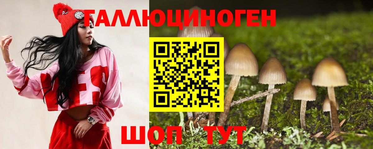 Галлюциногенные грибы Psilocybe  Псилоцибиновые грибы Cubensis  Вход с VPN  Сунжа 