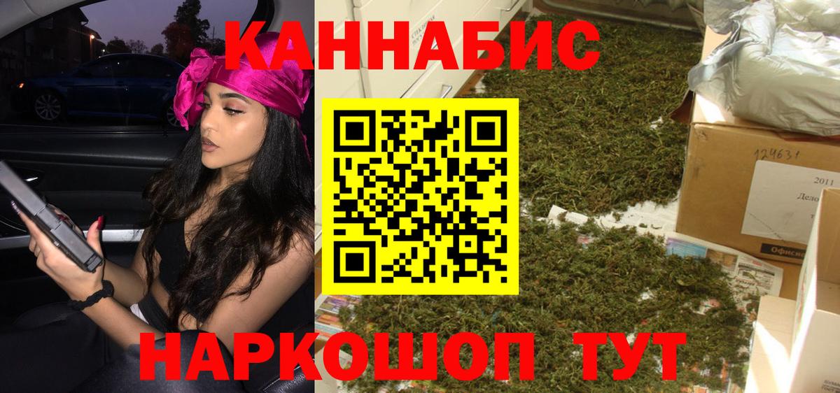 Бошки Шишки планчик Сунжа